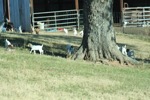 resIMG_20141127_160208_3765.JPG